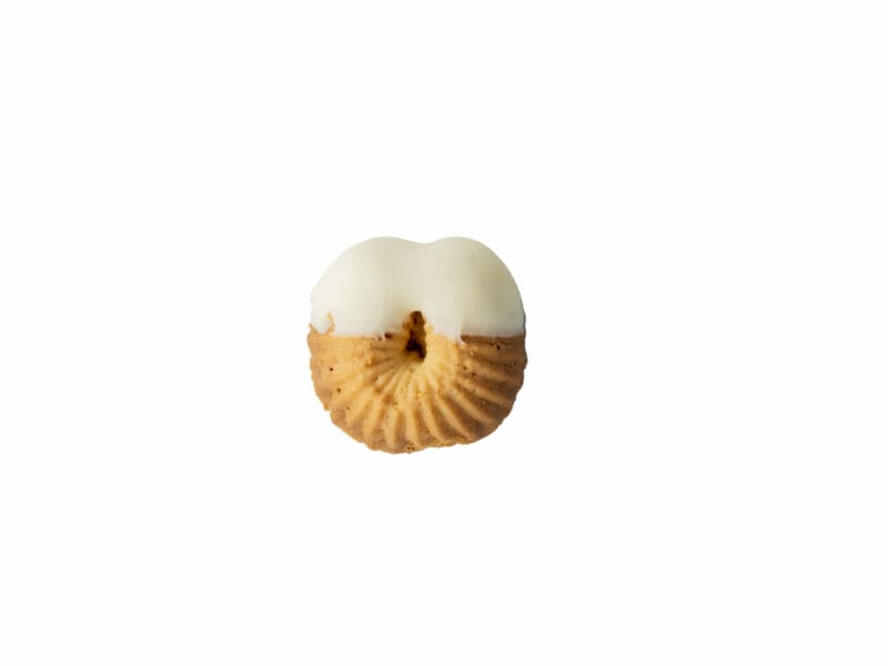 Conchiglie al cioccolato bianco